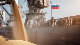 Эксперт предложил способы борьбы с монополией на зерновом рынке